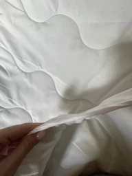 Набор антиаллергенный MirSon EcoSilk Супер Теплый №1660 Eco Light White (одеяло + подушки 50х70 среднии) (2200002655118) фото от покупателей 4