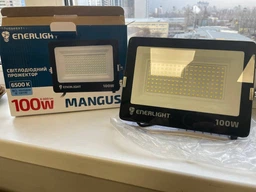 Прожектор світлодіодний вологостійкий IP 65 ENERLIGHT MANGUST 100Вт 6500K