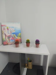 Кактус Реймбол Orange, GreenLife, контейнер d=6 см фото от покупателей 1