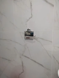 Тримач туалетного паперу з кришкою Perfect Sanitary Appliances RM 1601 латунь, настінний, хром фото від покупців 5