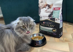 Сухий корм для кошенят Purina Pro Plan LiveClear Kitten Turkey з індичкою 1.4 кг фото від покупців 11
