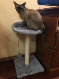 Когтеточка Lucky Pet Прана, серый, 33х33х50см
