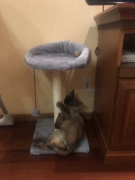 Когтеточка Lucky Pet Прана, серый, 33х33х50см фото от покупателей 1