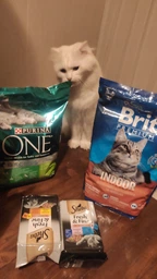 Сухой корм Brit Premium by Nature Cat Indoor для кошек живущих в помещении - 0,8 кг фото от покупателей 9