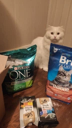 Сухой корм Brit Premium by Nature Cat Indoor для кошек живущих в помещении - 0,8 кг фото от покупателей 8