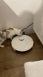 Робот-пилосос Ecovacs DEEBOT OZMO N8 White (DLN26) (DLN26) фото від покупців 11