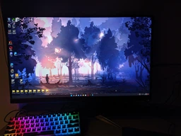 Монитор 27" Acer Nitro VG270UPbmiipx (UM.HV0EE.P01) - 8-Bit - 99% sRGB фото от покупателей 15
