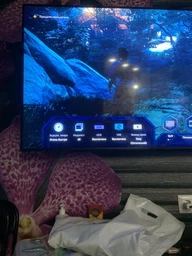 Телевизор Samsung QE55Q60AAUXUA фото от покупателей 3