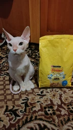 Сухой корм для кошек Purina Friskies со вкусом лосося и овощей 300 г (7613031868063) фото от покупателей 2