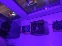 Фитолампа GreenHouse GR-8 з світильником-прищіпка фото від покупців 10