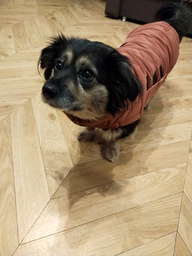 Пуховик Noble Pet Bobby Navy B4118/4XL (00001717) фото от покупателей 17