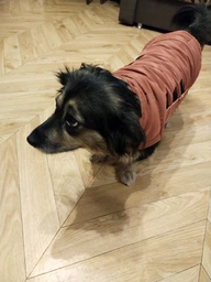 Пуховик Noble Pet Bobby Navy B4118/4XL (00001717) фото от покупателей 16