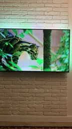 Телевизор Philips 55PUS7906/12 фото от покупателей 8