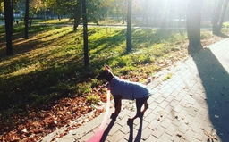 Пуховик Noble Pet Bobby Navy M (B4118/M)