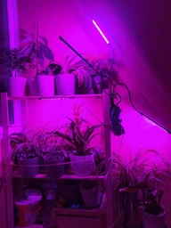 Фітолампа для рослин Brille LED-36/4x7W Fito GROW RM (L137-021) фото від покупців 1