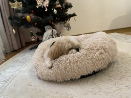 Лежак для кошек и собак 50 см бордо Maipets Подушка-для домашних животных мягкая фото от покупателей 4