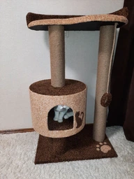 Кошачья когтеточка лазалка в домик с лежанкой для кошек кото 90х60х40см молочно бордовая фото от покупателей 10