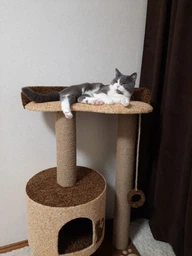 Кошачья когтеточка лазалка в домик с лежанкой для кошек кото 90х60х40см молочно бордовая фото от покупателей 9