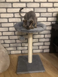 Когтеточка Lucky Pet Прана, серый, 33х33х50см