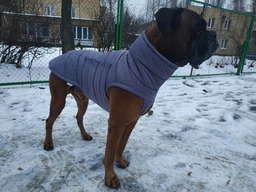 Пуховик Noble Pet Bobby Navy B4118/L (00001670) фото від покупців 12