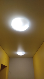 Настенно-потолочный светильник Lena Lighting CALLISTO 365 2x60W E27 (30808368)