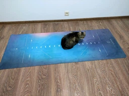 Преміальний килимок для йоги Luna Yoga 1830х680х4 мм Asana (LunaYogaMatAsana) фото від покупців 1