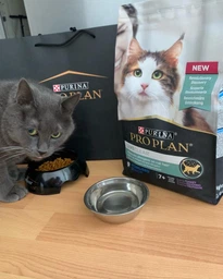 Сухий повнораціонний корм для стерилізованих котів старше 7 років Purina Pro Plan LiveClear для зменшення алергенів на шерсті з індичкою 1.4 кг фото від покупців 12