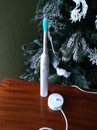 Электрическая зубная щетка PHILIPS Sonicare HX3651/13 Gemini 2100