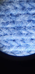 Микроскоп учебный школьный детский My First Lab MFL-06 (MFL-066340NEW) фото от покупателей 9