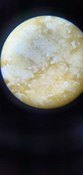 Микроскоп учебный школьный детский My First Lab MFL-06 (MFL-066340NEW) фото от покупателей 8
