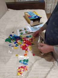 Конструктор LEGO Classic Кубики та будиночки 270 деталей (11008) фото від покупців 1