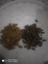 Cухий корм CLUB 4 PAWS PREMIUM Клуб 4 лапи ягня і рис для дорослих собак малих порід, 2 кг фото від покупців 2