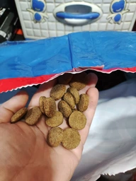 Сухой корм для собак TEO со вкусом говядины 2.7 кг (5906731509407)