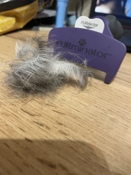 Фурминатор для котов с короткой шерстью FURminator размер M/L (691661) (4048422141259)