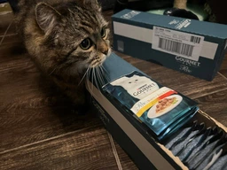 Влажный корм для взрослых кошек Purina Gourmet Perle Duo с телятиной и уткой 26х85 г фото от покупателей 3