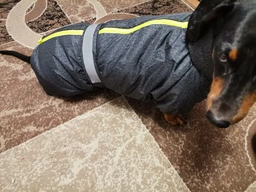 Комбінезон Pet Fashion COLD для собак сірий 5XL фото від покупців 6