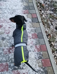 Комбінезон Pet Fashion COLD для собак сірий 5XL фото від покупців 5