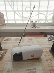 Портативная колонка JBL Tuner 2 5W White (JBLTUNER2WHT) фото от покупателей 1