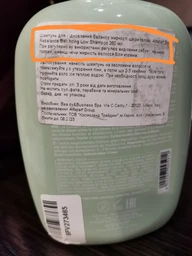 Шампунь Alfaparf Semi Di Lino Scalp Rebalance для жирной кожи головы 1000 мл (8022297095929)