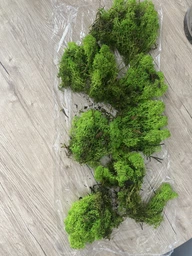 Стабилизированный мох ягель Nordic moss Зеленый травяной светлый 100 грамм фото от покупателей 19