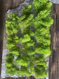 Стабилизированный мох ягель Nordic moss Зеленый травяной светлый 100 грамм фото от покупателей 18