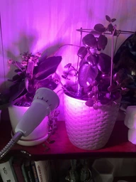 Фитолампа GreenHouse GR-8 з світильником-прищіпка фото від покупців 9