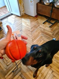 Іграшка для собак Liker М'ячик 9 см (6295) фото від покупців 7