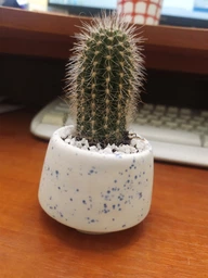 Керамический горшок для кактусов Mini Plant размер XS 4,9х5,2см Трапеция Белый Блаугранити