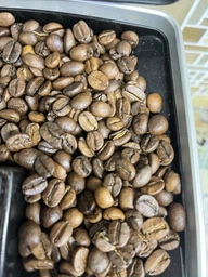 Кава в зернах Tutto Caffe Delicato 1 кг (4820217900094)