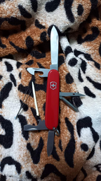 Швейцарский нож Victorinox Swiss Army Tinker Small (0.4603) фото от покупателей 7