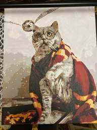 Картина по номерам. "Котик ловець снітча" BS36543 40х50 фото від покупців 8