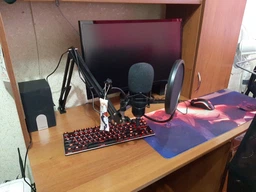 Мікрофон GamePro SM1604 (4820216971316) фото від покупців 2