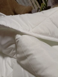 Набор антиаллергенный MirSon EcoSilk Всесезонный №1801 Eco Light White Одеяло + Подушки (2200003966930)