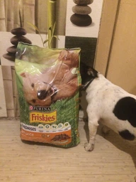 Сухой полнорационный корм для взрослых собак Purina Friskies с курицей и овощами 10 кг фото от покупателей 6